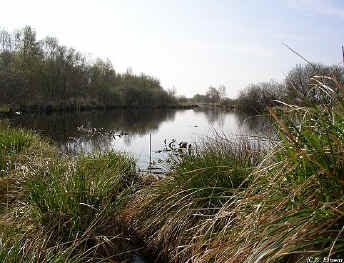 Petgat in de deelen